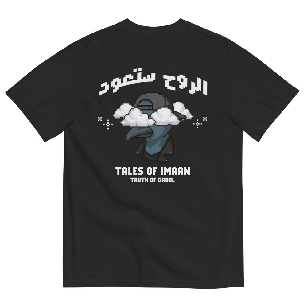 Truth of Grool - Heavyweight Tee